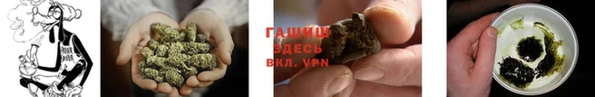 2c-b Балахна