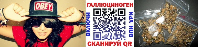 наркошоп Тарко-Сале Псилоцибиновые грибы Magic Shrooms